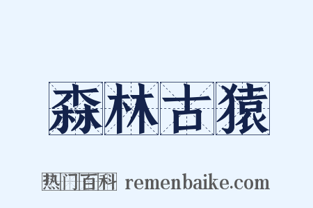 森林古猿是什么意思的图片